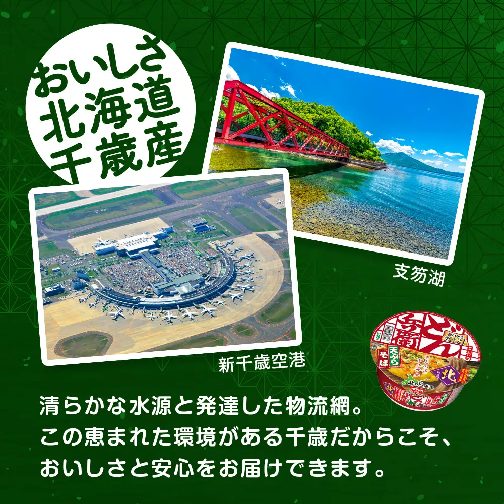 【定期便12カ月】日清 北のどん兵衛 天ぷらそば [北海道仕様]12個