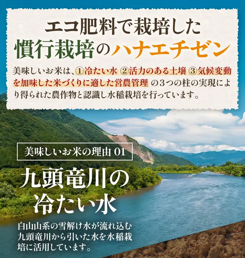 【先行予約】【令和8年産 新米】 エコ栽培ハナエチゼン 精米10kg （5kg×2袋） ／ 鮮度抜群 福井県産 はなえちぜん ご飯 新鮮 白米 ※2026年9月上旬以降順次発送予定 [aw063-b014]