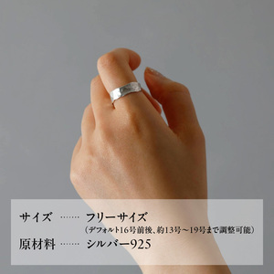 粋なリングシルバー_0246-005-T07