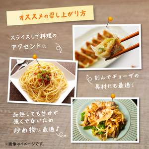 乾燥にんにく 500g 【 にんにく 】 