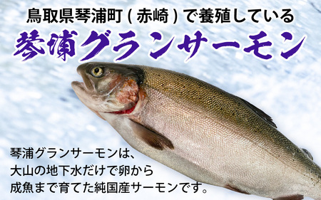 【訳あり】 国産 とっとり 琴浦グランサーモン 焼いときました 焼魚 6切 （焼き上がり350g前後） 塩焼き 個包装 レンチン