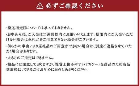 蘭越産 赤肉メロン 2玉 計 約 3kg 以上 【2026年7月上旬-8月上旬まで順次発送予定】 果物 くだもの フルーツ メロン めろん 日持ち 常温 北海道 蘭越町