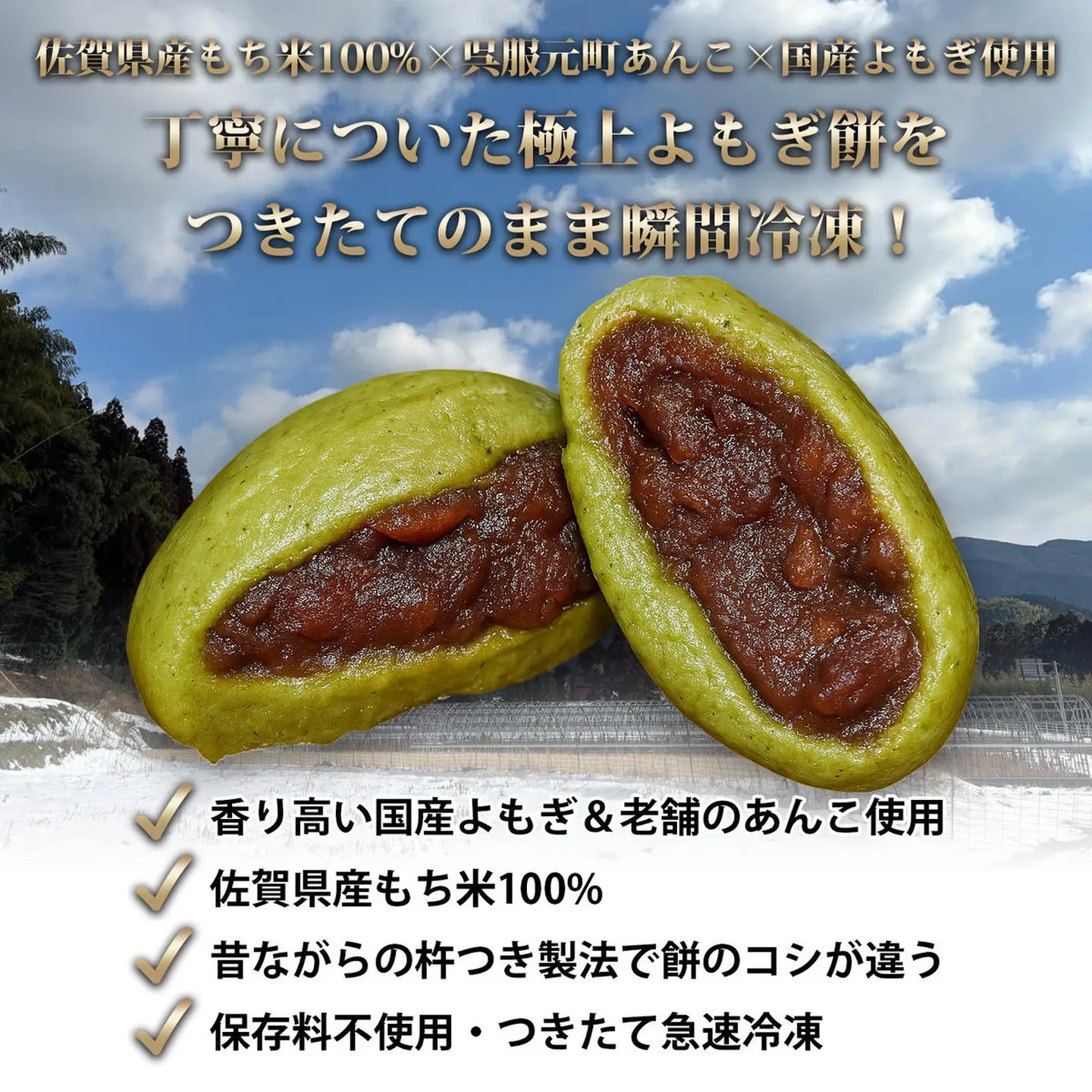 よもぎ餅（粒あん入り）12P：B180-064