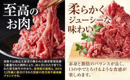 【ふるさと納税】常陸牛切り落とし 2kg (250g×8パック) 株式会社坂東太郎　おにくブッチャーズ《30日以内に出荷予定(土日祝除く)》茨城県 河内町 牛 牛肉 肉 おかず【配送不可地域あり】