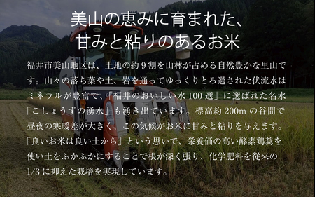 越前美山米　令和７年福井市産コシヒカリ　精米5kg [B-204001] / 精米 米 お米 コメ 送料無料 コシヒカリ