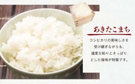 【令和7年産】あきたこまち 10kg（5kg×2袋） 米 コメ こめ お米 白米 精米 ごはん ご飯 岡山県 倉敷市