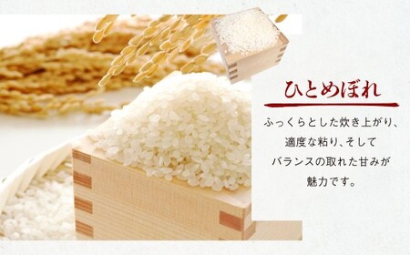 【令和7年産】ひとめぼれ 10kg（5kg×2袋） 米 コメ こめ お米 白米 精米 ごはん ご飯 岡山県 倉敷市