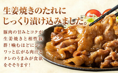 【ふるさと納税】匠坂東豚 国産豚 切り落とし 生姜焼き 味付 2kg (250g×8パック) 株式会社坂東太郎　おにくブッチャーズ《30日以内に出荷予定(土日祝除く)》茨城県 河内町 豚 豚肉 肉 おかず【配送不可地域あり】