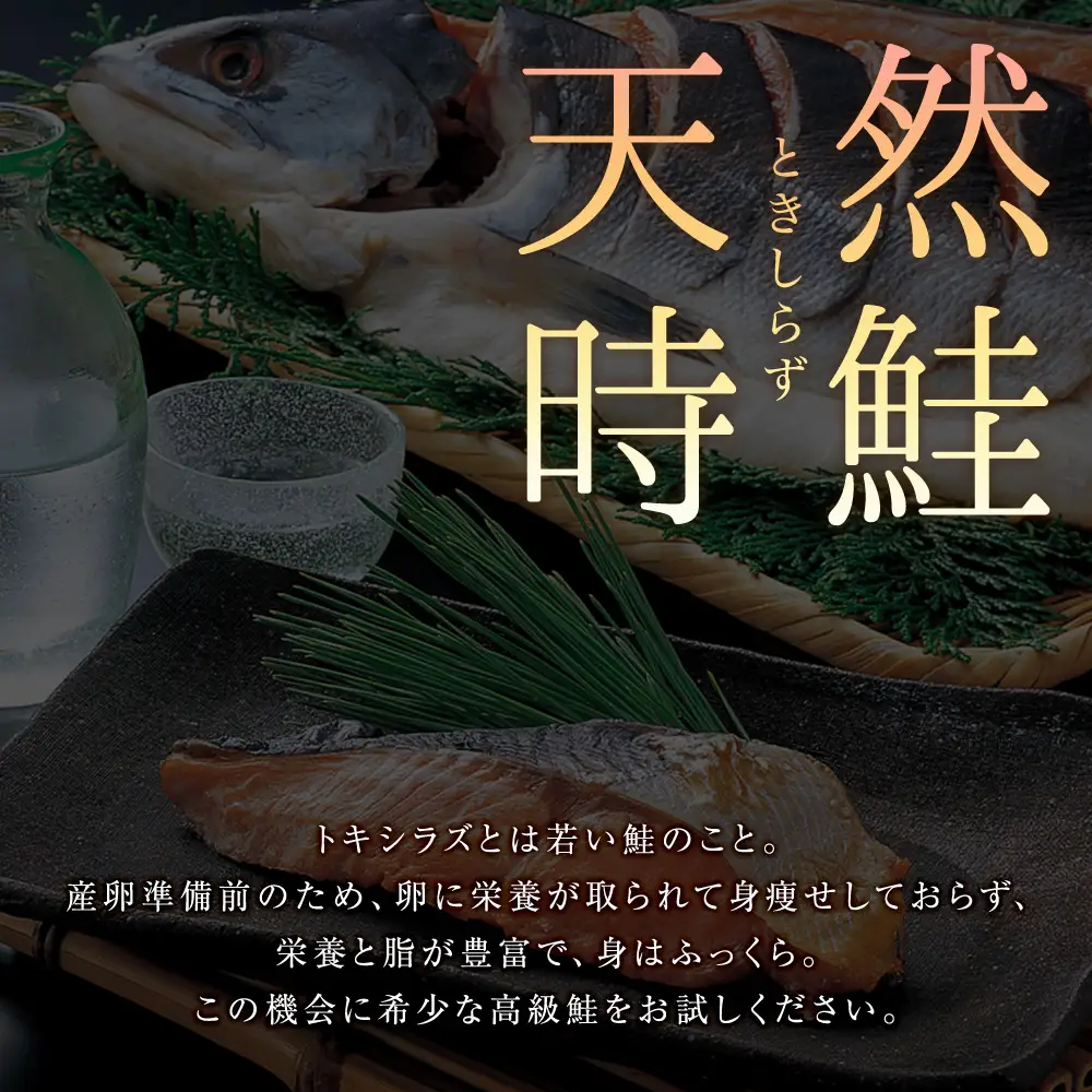 白老町産 時鮭 トキシラズ 500g 真空パック〈斉藤水産〉