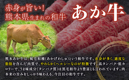 あか牛 ヒレ肉 800g(6枚前後) 馬刺し 3種類 合計1kg 食べ比べ セット 合同会社たべたせいか《30日以内に出荷予定(土日祝除く)》詰め合わせ 赤牛 国産和牛 和牛 ステーキ 馬肉 赤身 霜降り たてがみ 熊本県産 九州産 送料無料