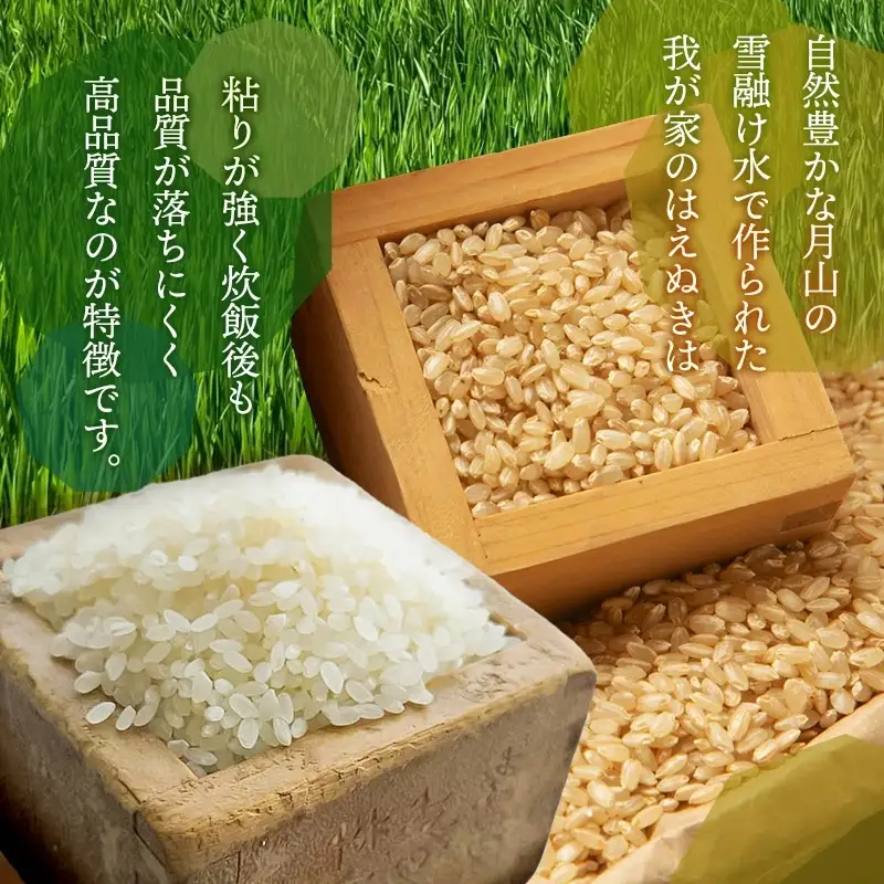 【令和8年産先行予約】 はえぬき（庄内米） 精米　5kg×1袋　農家 長四郎