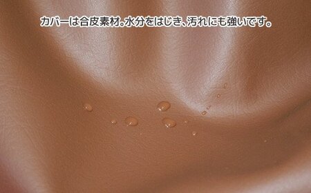 ビーズクッション タマゴロン _サイレントブラック【G0321】