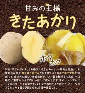 【2026年秋出荷】先行予約 十勝野じゃがいも きたあかり 10kg 按田農場《2026年10月中旬-11月末頃出荷》北海道 豊頃町 十勝野 じゃがいも 農家直送 数量限定