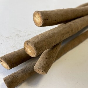 十勝豊頃産ごぼう約8kg（SS～２Lサイズ混合）【2026年秋出荷】（先行受付）【工房みみずく】《10月中旬-12中旬頃出荷》