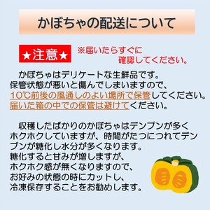 【先行予約】北海道 十勝 秋の味覚野菜詰め合わせ（南瓜・玉ねぎ・じゃがいも）セット【2026年秋出荷】