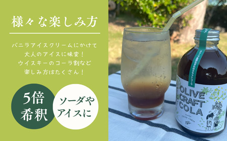オリーブクラフトコーラシロップ 300ｇスパイス オリーブ 飲料類 コーラ シロップ 爽やか 天橋立 人気 ギフト 日用品