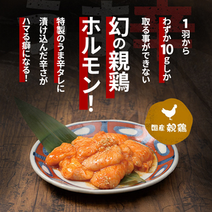 うま辛幻の鶏ホルモン約300g | 鶏肉 鶏  焼肉 BBQ バーベキュー アウトドア 料理 国産 