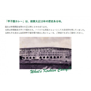 甲子園カレー＜甘口・中辛・辛口＞×2箱4食入　計6箱セット12食入 【カレー】
