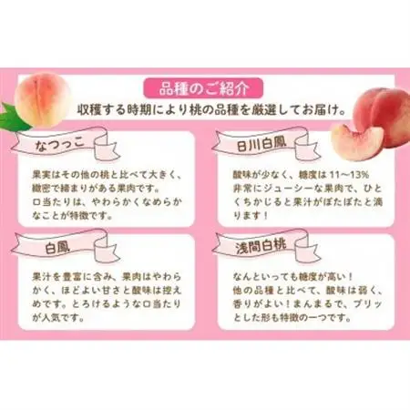 【2026年発送】山梨県山梨市産 桃 2kg (5～8玉)【配送不可地域：離島・沖縄県】【1691260】