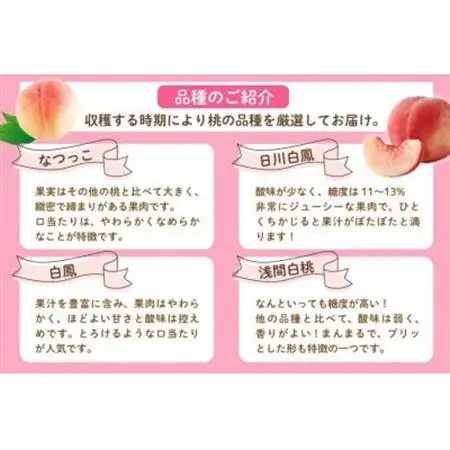 【2026年発送】山梨県山梨市産 桃 3kg (7～12玉)【配送不可地域：離島・沖縄県】【1691264】