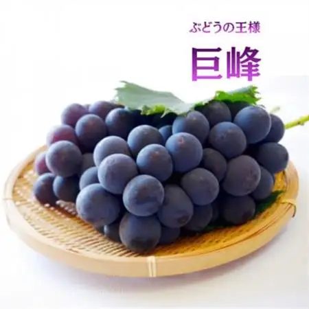 【発送月固定定期便】フルーツ定期便 桃2kg 巨峰1kg シャイン1kg全3回【配送不可地域：離島・沖縄県】【4077987】