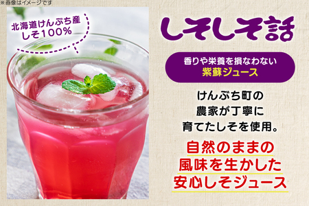 しそジュース しそしそ話 180ml×10本 計1.8L [レークサイド桜岡 北海道 剣淵町 14656352] 