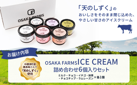 OSAKA FARMS ICE CREAM 詰め合わせ6個入りセット（ミルク・チョコ・イチゴ・抹茶・チョコチップ・ラムレーズン）各1個【5101301】