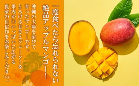 (先行受付)【2026年発送】アップルマンゴー 南城市 約1kg (2～3玉)