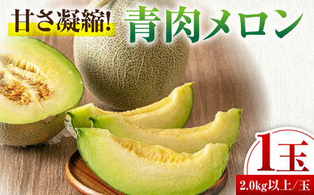 【先行予約】青肉メロン 大玉1玉 [AJAH029] メロン