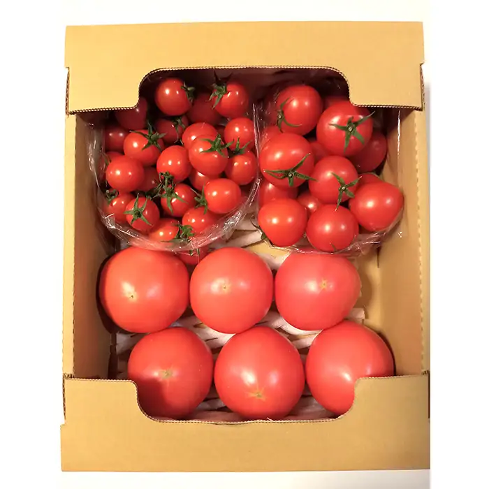 トマト いろいろ詰合せセット 1.8kg入り箱 ／ とまと 野菜 新鮮 完熟 ミニ 中玉 大玉 3種類 詰め合わせ セット 食べ比べ 産地直送 農家直送 サラダ 行田市産 埼玉県 特産 No.508