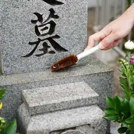 ［全12回］ お墓掃除定期便＋仏花１対