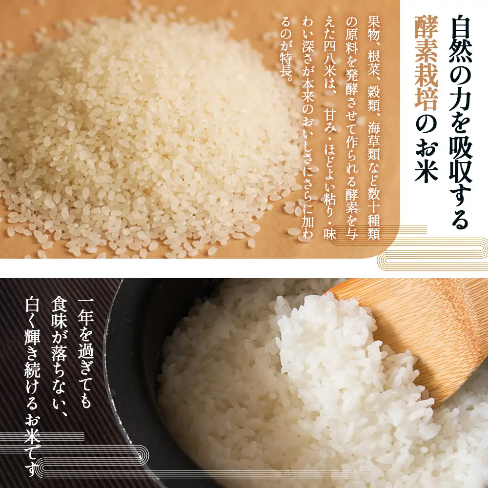 四八米 こしひかり 酵素プレミアム 【ギフト】2合×5個入 1.5kg ／ お米 米 こめ 精米 白米 1.5キロ 国産 産地直送 産直 お取り寄せ 希少 最高品質 贈答用 最上級 甘み 旨み 人気 おすすめ 広島県 No.1171