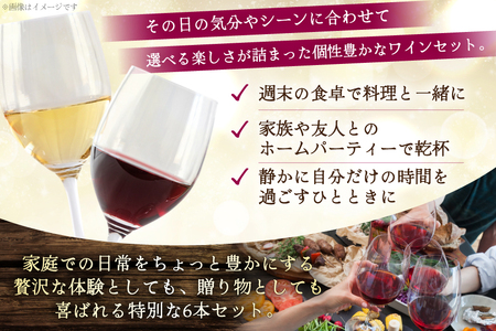 個性豊かな韮崎産赤白ロゼスパークリング6種 飲み比べセット [株式会社まあめいく 山梨県 韮崎市 20745326]
