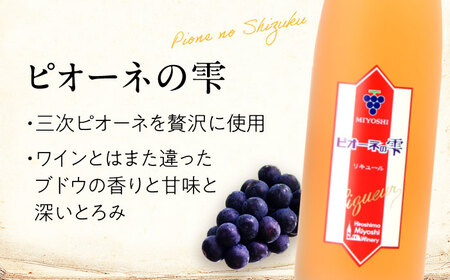 果実酒 ピオーネの雫  500ml×6本 ピオーネ リキュール 甘口 三次ワイナリー [APAZ117] お酒