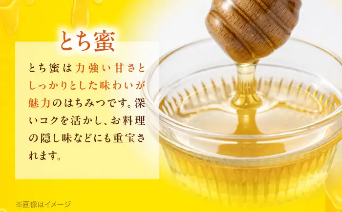【2026年先行予約】ハニージンジャー ＜7月上旬頃から順次発送＞ シロップ 200ml×1本 はちみつ しょうが [APCB006] 生姜湯