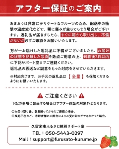 有機あまおう250g×4パック _ 有機 あまおう 250g 4パック 計 1000g オーガニック いちご ストロベリー 特別栽培 認証 アフター保証付き 安心 安全 やさしい甘み 香り ジューシー 果物 果汁 フルーツ スイーツ デザート 冷蔵 お取り寄せ 福岡県 久留米市 送料無料  〔Fi078〕
