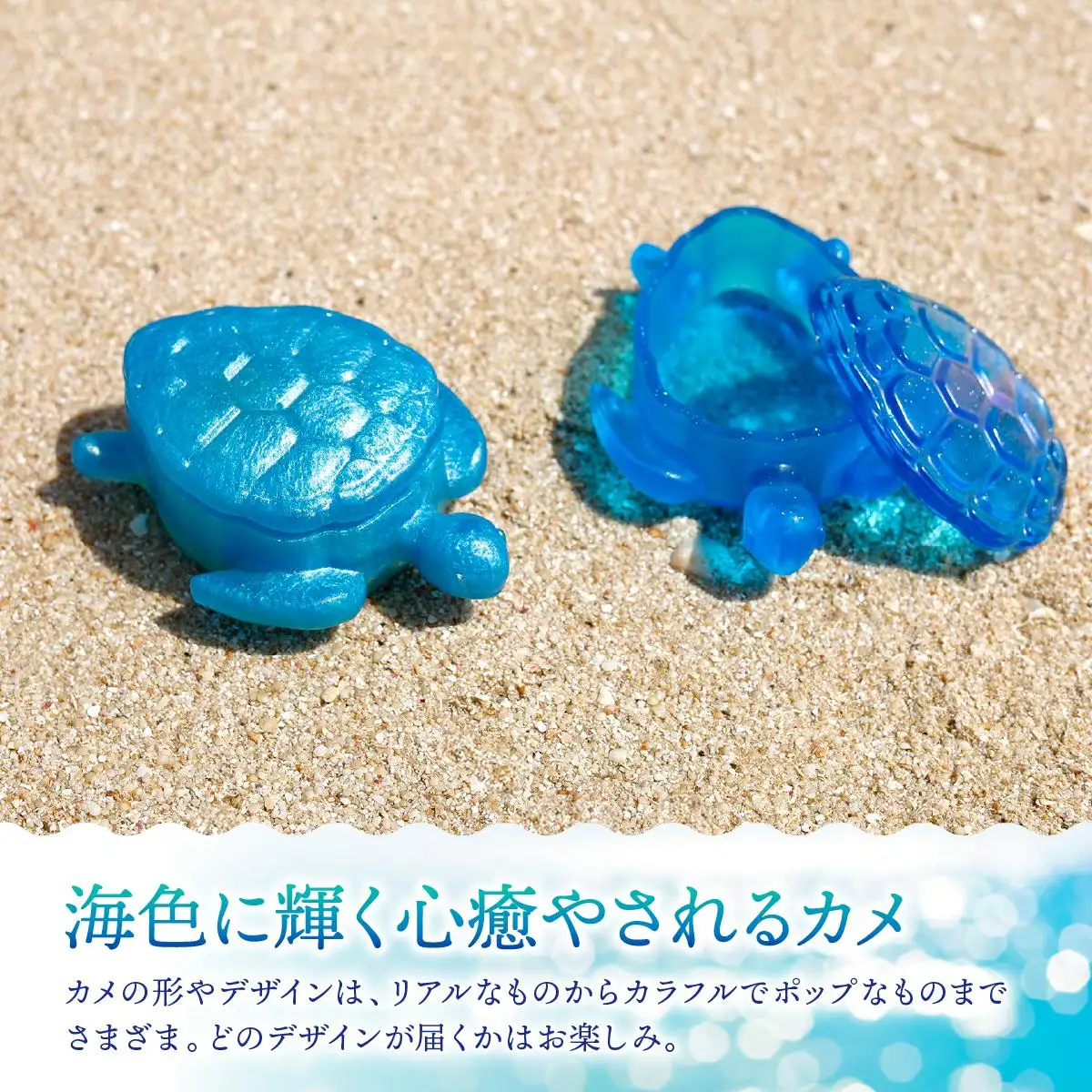 カメボックス[DP21]   
