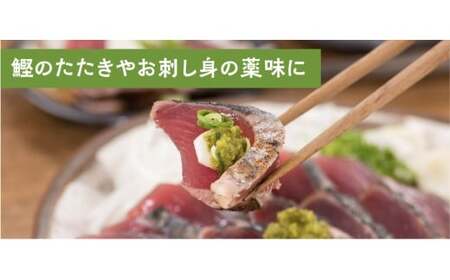  青オニゆずこしょう　52g×1本　柚子胡椒 ゆず胡椒 辛い 香辛料 唐辛子 からし スパイス 無添加 オーガニック 有機  お歳暮 お中元 母の日 父の日 ギフト 熨斗 のし 高知県 馬路村