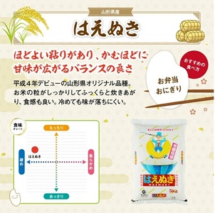 SR0005　【12回定期便】［精米］はえぬき　5kg×12回(計60kg) TO