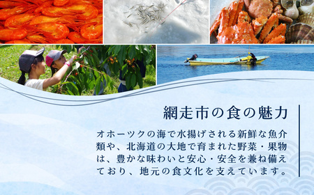 【返礼品なし】北海道網走市・応援寄附1,000円（寄附のみの応援受付 ※返礼品はございません） ABBT001
