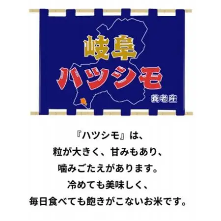 令和7年産　岐阜ハツシモSL　玄米　10kg【1688832】