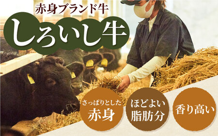 【6回定期便】牛肉 1頭まるごと定期便 / 牛肉 定期便 IAH032