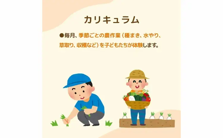 不登校児童生徒の農業体験（2回） 〈 学び 食育 収穫体験 農業体験 体験 収穫 野菜 子供 親子 農作物 ふるさと納税 柏 〉