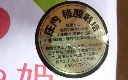 植酸栽培米つや姫（精米）10kg F2Y-4410