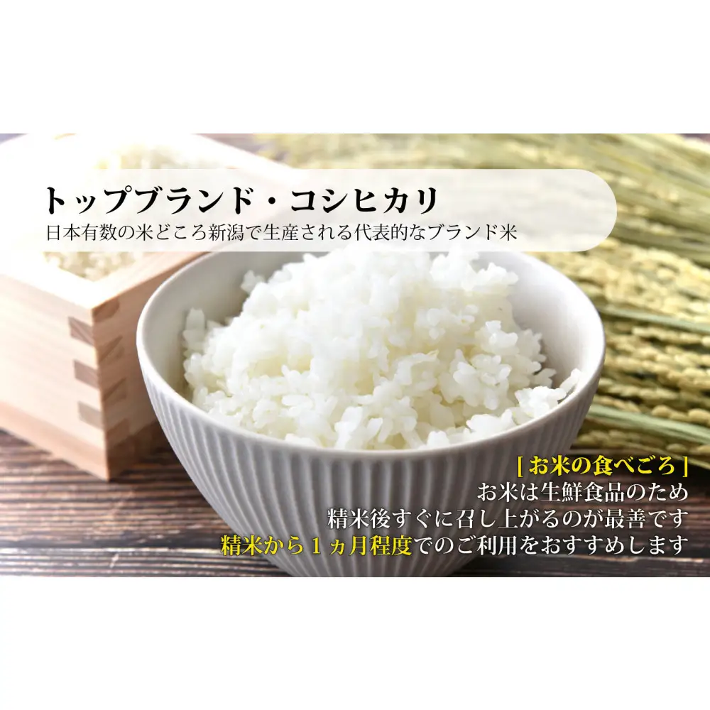 佐渡産コシヒカリ 2kg 令和7年産
