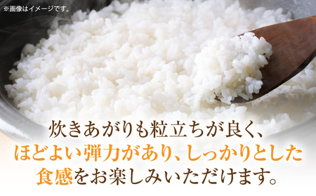 ＜数量限定＞【令和7年度産】里山の誇り 朝倉獅子米 ヒノヒカリ 5kg | 新米 ヒノヒカリ ひのひかり 5kg 米 白米 ごはん ご飯 白ご飯 おにぎり お弁当 おむすび お米 国産 美味しい ツヤ モチモチ 精米 おすすめ 香川県 三木町 |_mk172-002