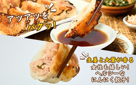 焼鳥屋さんの鶏つくね餃子　10個入り　5パック　［A-084004］