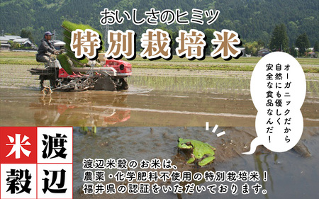 令和7年産 特別栽培米 コシヒカリ匠 12kg（2kg×6袋） 節減対象農薬当地比5割減【玄米】お米 コシヒカリ [E-2920_02]
