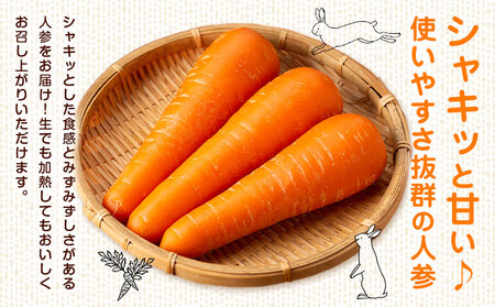 【先行予約】人参 約5kg (17-33本) 日本フルーツ株式会社《2026年4月上旬-6月上旬頃出荷》熊本県 菊池市 にんじん ニンジン 野菜 熊本県産