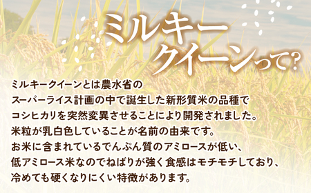福島県産 ミルキークイーン 9kg×1袋
